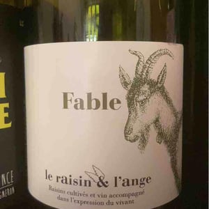Le Raisin et l'Ange - Gilles & Antonin Azzoni - Fable