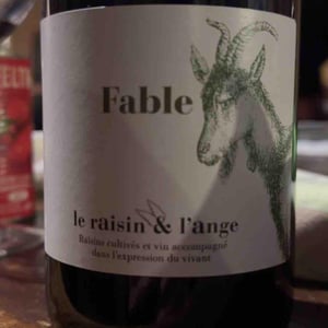 Fable - Le Raisin et l'Ange - Gilles & Antonin Azzoni 