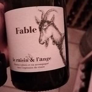 Fable - Le Raisin et l'Ange - gilles-antonin-azzoni