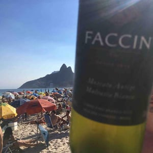 Riesling Italico - Faccin Vinhos - Antônio e Bruno Faccin 