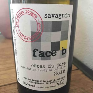 Face B 2016 - Les Bottes Rouges - Florien Klein Snuverink & Jean-Baptiste Menigoz
