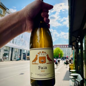 Faia - Vins Hodgson - mai-kenji-hodgson