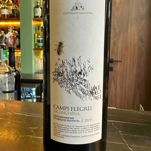 Falanghina Salandra - Contrada Salandra - Giuseppe Fortunato -2019