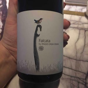 Falcata - Pago Casa Gran - carlos-laso