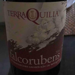 Falcorubens col fondo - TerraQuilia Società Agricola S.S. - romano-giorgia-mattioli