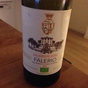 Falerio - Saladini Pilastri - saladini-pilastri