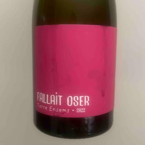 Fallait Oser - Terre Ensems - Krystel Costes & Michel Bouisseren 