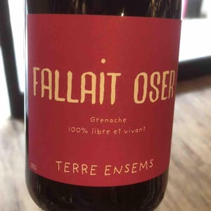 Fallait Oser - Terre Ensems - Krystel Costes & Michel Bouisseren 