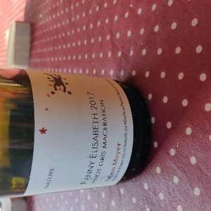 Domaine Julien Meyer - Patrick Meyer - Fanny Elisabeth - Pinot Gris macération