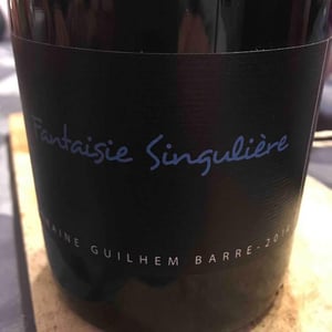 Guilhem Barré - Guilhem Barré - Fantaisie Singulière