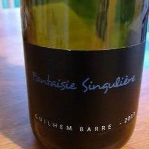 Fantaisie Singulière - Guilhem Barré - guilhem-barre