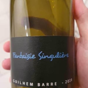 Fantaisie Singulière - Guilhem Barré - Guilhem Barré 