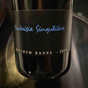 Fantaisie Singulière - Guilhem Barré - Guilhem Barré 