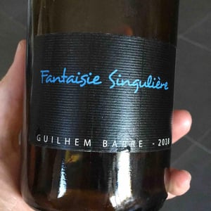 Fantaisie Singulière - Guilhem Barré - Guilhem Barré 