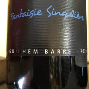Fantaisie Singulière - Guilhem Barré - guilhem-barre