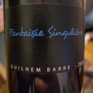 Fantaisie Singulière - Guilhem Barré - Guilhem Barré 