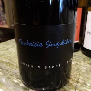 Fantaisie Singulière - Guilhem Barré - guilhem-barre