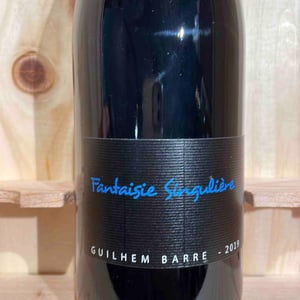 Fantaisie Singulière - Guilhem Barré - guilhem-barre