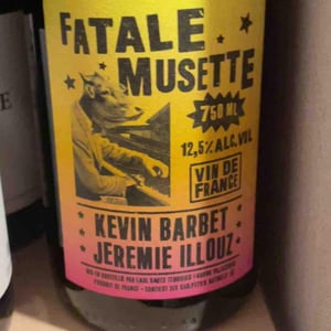 Fatale Musette (X Kévin Barbet) - Wineatic - Jérémie Illouz 