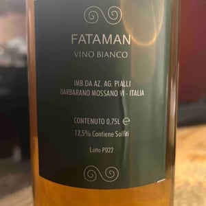 Fataman - Fataman - gianantonio-posocco -2020