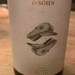 Vater & Sohn Silvaner - 2 Naturkinder - melanie-drese-michael-volker