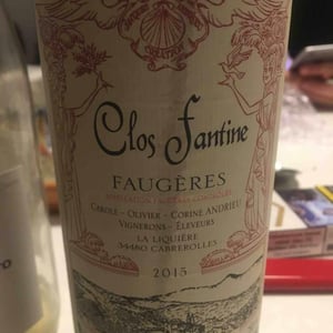 Clos Fantine - Carole, Olivier & Corine Andrieu - Faugères