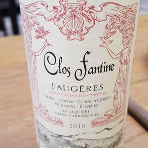 Clos Fantine - Carole, Olivier & Corine Andrieu - Faugères