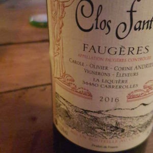 Clos Fantine - Carole, Olivier & Corine Andrieu - Faugères