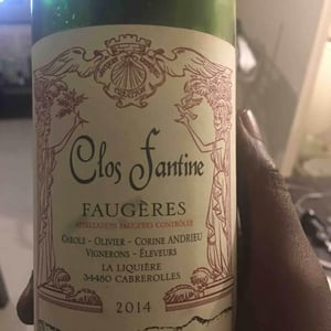 Clos Fantine - Carole, Olivier & Corine Andrieu - Faugères