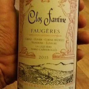 Clos Fantine - Carole, Olivier & Corine Andrieu - Faugères