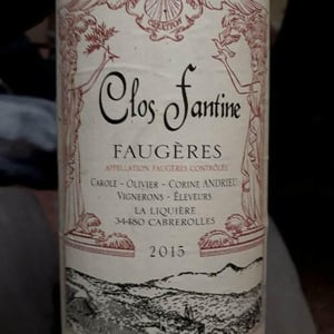 Clos Fantine - Carole, Olivier & Corine Andrieu - Faugères