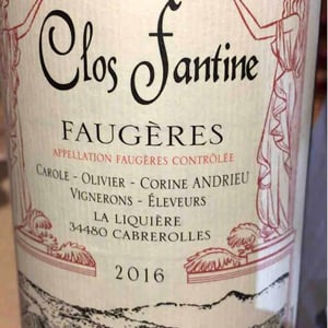 Clos Fantine - Carole, Olivier & Corine Andrieu - Faugères