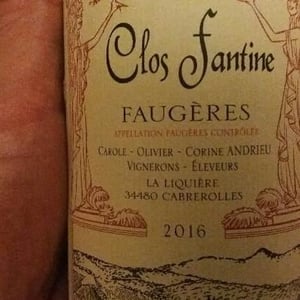 Clos Fantine - Carole, Olivier & Corine Andrieu - Faugères