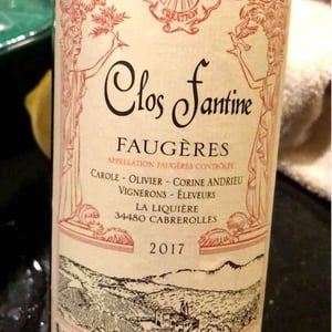 Clos Fantine - Carole, Olivier & Corine Andrieu - Faugères