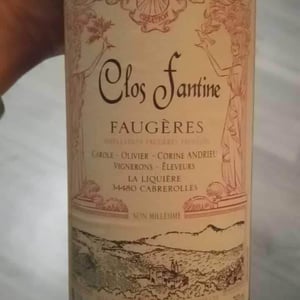 Clos Fantine - Carole, Olivier & Corine Andrieu - Faugères