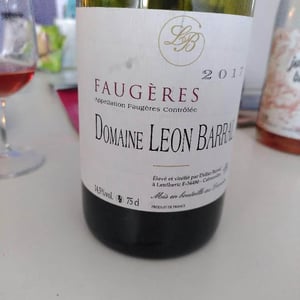 Domaine Léon Barral - Didier Barral - Faugères "Tradition"