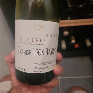 Domaine Léon Barral - Didier Barral - Faugères "Tradition"