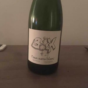 Faux Sans Blanc - Sylvain Bock - Sylvain Bock 