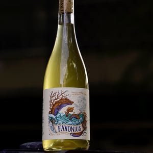 Favonius Orange - Authentic Wines - pedro-cabanita-rodrigo-martins -2022