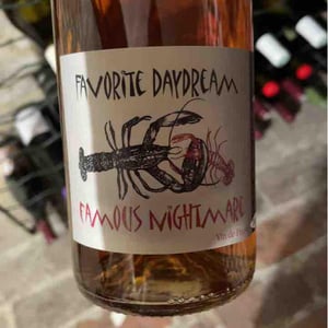 Favorite Daydream Famous Nightmare - Domaine Léonine - Jordan Le Guyader -2021