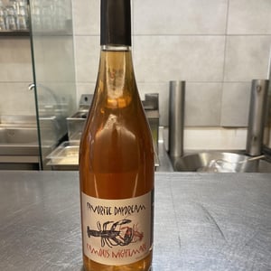 Favorite Daydream Famous Nightmare - Domaine Léonine - Jordan Le Guyader -2021