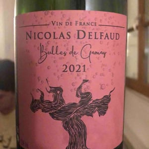Bulles de Gamay - Domaine Nicolas Delfaud - nicolas-delfaud -2023