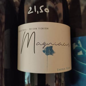 Magniacus - Regnier David - Jean-Francois Régnier 