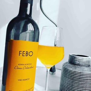 Febo - Azienda Agricola Dario Orlandini - Dario Orlandini 