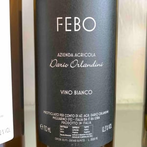 Febo - Azienda Agricola Dario Orlandini - Dario Orlandini 