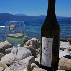 Féchy - Domaine La Colombe - raymond-violaine-laura-paccot