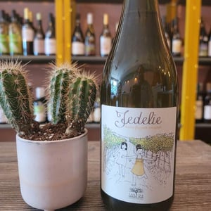 Fedelie Bianco - Cantina Marilina - angelo-marilina-federica-paterno