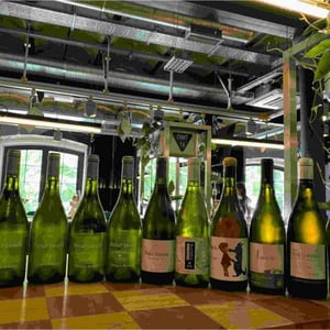 Feel Good - Domaine de Chassorney - Frédéric Cossard -2018