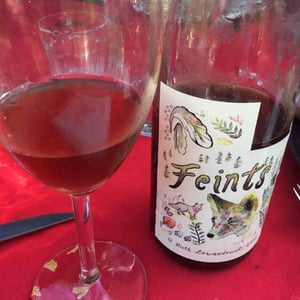 Feints - Ruth Lewandowski Wines - evan-lewandowski