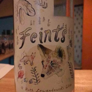 Feints 2018